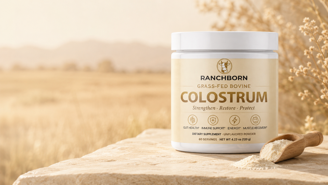 The Real Reason Your Gut Needs Colostrum: Beyond the 'Liquid Gold' Hype