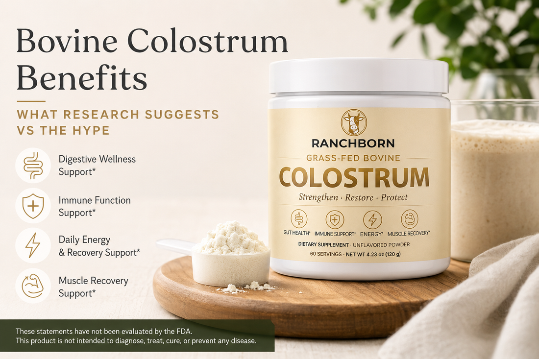 Bovine Colostrum Benefits: What Research Suggests vs the Hype