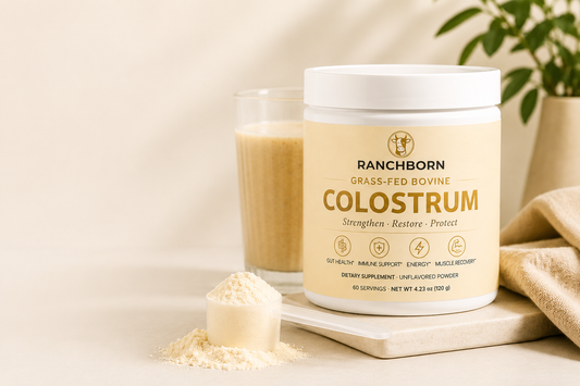 Colostrum for Gut Health: Benefits, Research & How to Choose a Quality Supplement